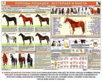 Комплект плакатов "Служебное коневодство" - fgospostavki.ru - Миасс