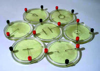 Демонстрационный комплект «Силовые линии электрического поля разных систем зарядов» - fgospostavki.ru - Миасс