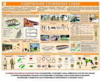 Комплект плакатов "Кинология" - fgospostavki.ru - Миасс