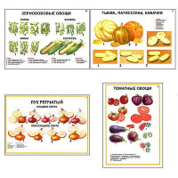 Плакаты ПРОФТЕХ "Ассортимент овощных культур" (12 пл, винил, 70х100) - fgospostavki.ru - Миасс
