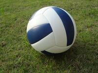 Мяч волейбольный звенящий - fgospostavki.ru - Миасс