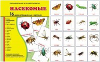 Демонстрационные карточки "Насекомые" - fgospostavki.ru - Миасс