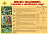 Плакат "Нормативы по радиационной, химической и биологической защите" - fgospostavki.ru - Миасс