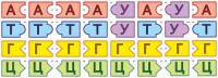 Модель-аппликация Удвоение ДНК и транскрипция РНК - fgospostavki.ru - Миасс
