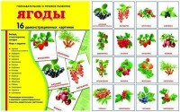 Демонстрационные карточки "Ягоды" - fgospostavki.ru - Миасс