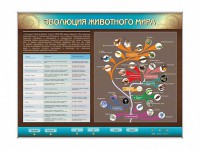 Интерактивный электрифицированный стенд "Эволюция животного мира" - fgospostavki.ru - Миасс