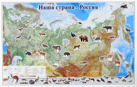Магнитные карточки "Животные" - fgospostavki.ru - Миасс