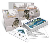 Комбинированное наглядное пособие «Животные» - fgospostavki.ru - Миасс