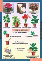 Комплект таблиц. Окружающий мир 1 класс. - fgospostavki.ru - Миасс