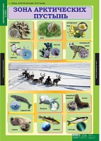 Комплект таблиц. Окружающий мир 4 класс. - fgospostavki.ru - Миасс