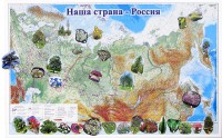 Магнитные карточки "Растения" - fgospostavki.ru - Миасс
