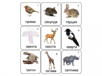 Набор магнитных карточек по музыке "Животные" (9 штук) - fgospostavki.ru - Миасс