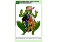 Рельефная таблица "Внутреннее строение лягушки" (формат А1, матовое ламинирование) - fgospostavki.ru - Миасс
