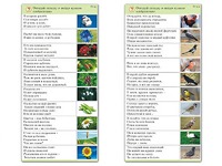 Комплект карточек (10) "Обучающий калейдоскоп. Природа" - fgospostavki.ru - Миасс