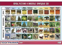 Таблица демонстрационная "Почвы, растения и животные природных зон" (винил 70*100) - fgospostavki.ru - Миасс