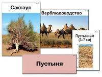 Модель-аппликация "Природные зоны России" (ламинированная) - fgospostavki.ru - Миасс