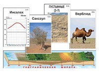 Модель-аппликация "Природные зоны" - fgospostavki.ru - Миасс