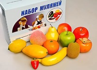Набор муляжей фруктов - fgospostavki.ru - Миасс
