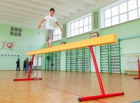 Бревно гимнастическое напольное постоянной высоты (700 мм) (5 м)	 - fgospostavki.ru - Миасс