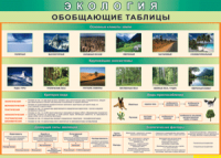 Таблица "Экология. Обобщающие таблицы" (100х140 сантиметров, винил) - fgospostavki.ru - Миасс
