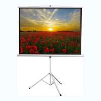 Экран на штативе DSKD-4303 - fgospostavki.ru - Миасс