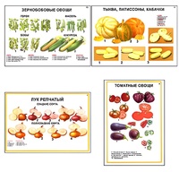 Плакаты ПРОФТЕХ "Ассортимент овощных культур" (12 пл, винил, 70х100) - fgospostavki.ru - Миасс