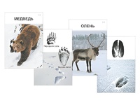 Комплект дидактических карточек "Следы на снегу" - fgospostavki.ru - Миасс