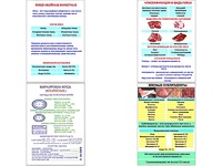 Плакаты ПРОФТЕХ "Классификации и виды мяса" (4 пл, винил, 70х100) - fgospostavki.ru - Миасс