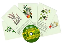 Интерактивный наглядный комплекс "Гербарий "Для начальной школы" - fgospostavki.ru - Миасс
