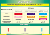 Таблица "Окраска индикаторов в различных средах" (100х140 сантиметров, винил) - fgospostavki.ru - Миасс