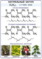 Комплект демонстрационных таблиц по химии "Полимеры" (комплект 12 таблиц) - fgospostavki.ru - Миасс