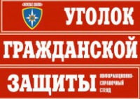 Комплект таблиц "Уголок гражданской защиты" - fgospostavki.ru - Миасс