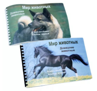 Пособие для слабовидящих - Домашние животные - fgospostavki.ru - Миасс