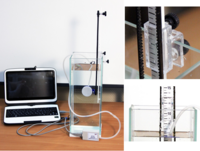 Набор демонстрационный «Гидростатика и плавание тел» - fgospostavki.ru - Миасс