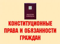 Комплект плакатов "Конституционные права и обязанности граждан" - fgospostavki.ru - Миасс
