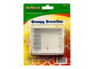 Набор микропрепаратов для микроскопа №2 «Насекомые» - fgospostavki.ru - Миасс