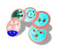 Тактильно-развивающая панель «Гусеница» - fgospostavki.ru - Миасс