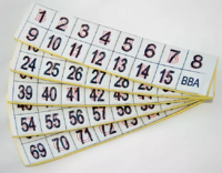 Фишки для игры «Бинго» со шрифтом Брайля - fgospostavki.ru - Миасс