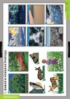 Комплект таблиц. Окружающий мир. Летние и осенние изменения в природе. - fgospostavki.ru - Миасс