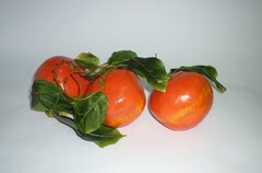 Ветка муляжей "Гранат" - fgospostavki.ru - Миасс