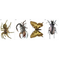 Модель-аппликация Многообразие беспозвоночных - fgospostavki.ru - Миасс