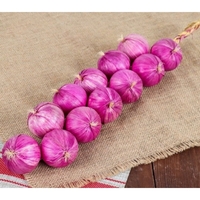 Муляжи "Связка лука" - fgospostavki.ru - Миасс