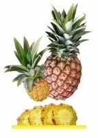 Комплект карточек "Запоминай, играй, считай" - Фрукты - fgospostavki.ru - Миасс