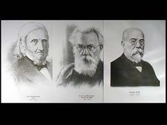 Портреты биологов (26 штук, формат А3) - fgospostavki.ru - Миасс