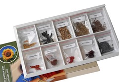 Коллекция "Плоды сельскохозяйственных растений" - fgospostavki.ru - Миасс