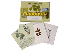 Гербарий "Деревья и кустарники" (22 вида, с иллюстрациями) - fgospostavki.ru - Миасс