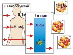 Модель-аппликация "Явление радиоактивности" (ламинированная) - fgospostavki.ru - Миасс