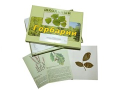 Гербарий "Дикорастущие растения" (30 видов, с иллюстрациями) - fgospostavki.ru - Миасс