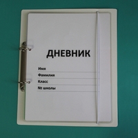 Дневник школьника (с полным набором карточек) - fgospostavki.ru - Миасс