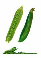 Комплект карточек "Запоминай, играй, считай" -  Овощи - fgospostavki.ru - Миасс